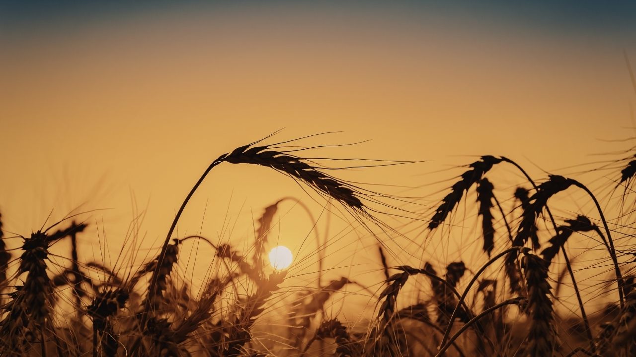 O Senhor é minha esperança