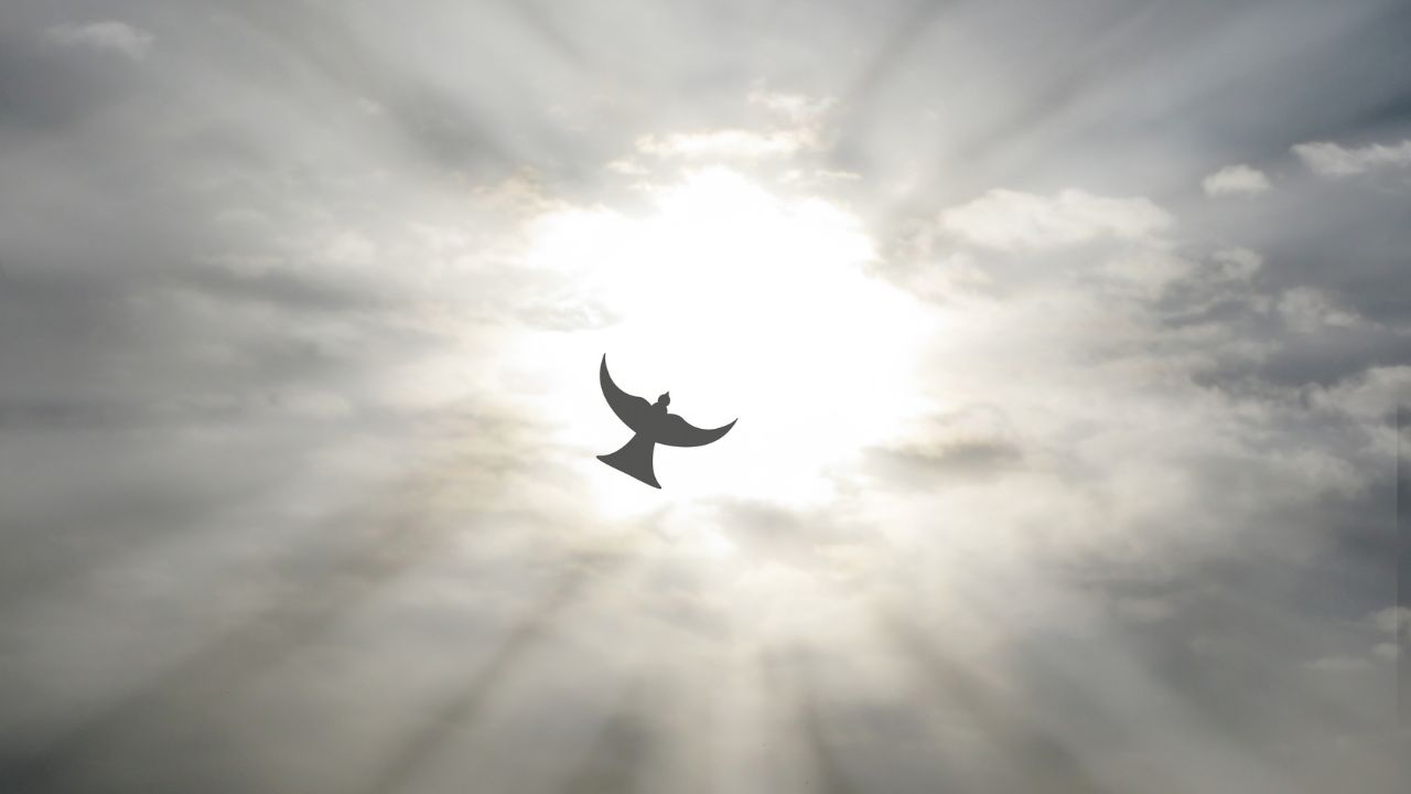 Aprendei de mim, que sou manso e humilde de coração