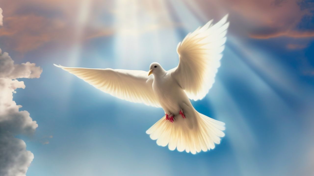 Pedi e dar-se-vos-á