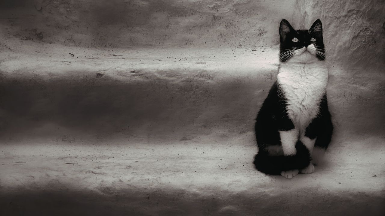 Passei pelo pior e continuo aqui