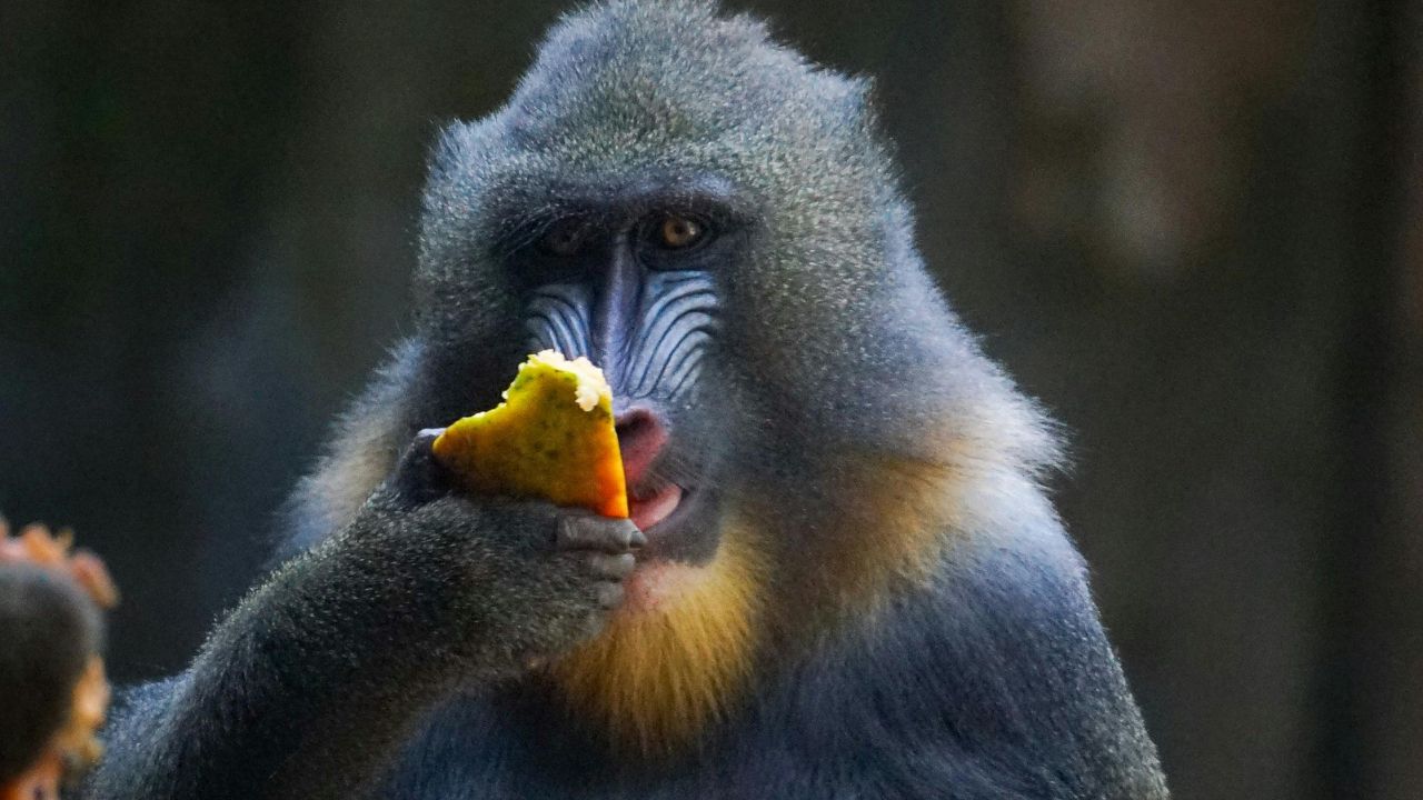 A pressa rouba a clareza