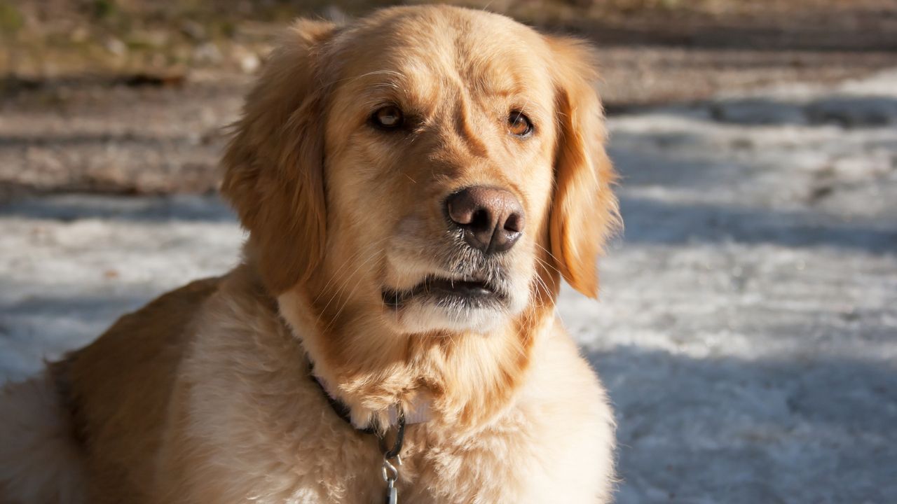A vida adulta veio sem manual