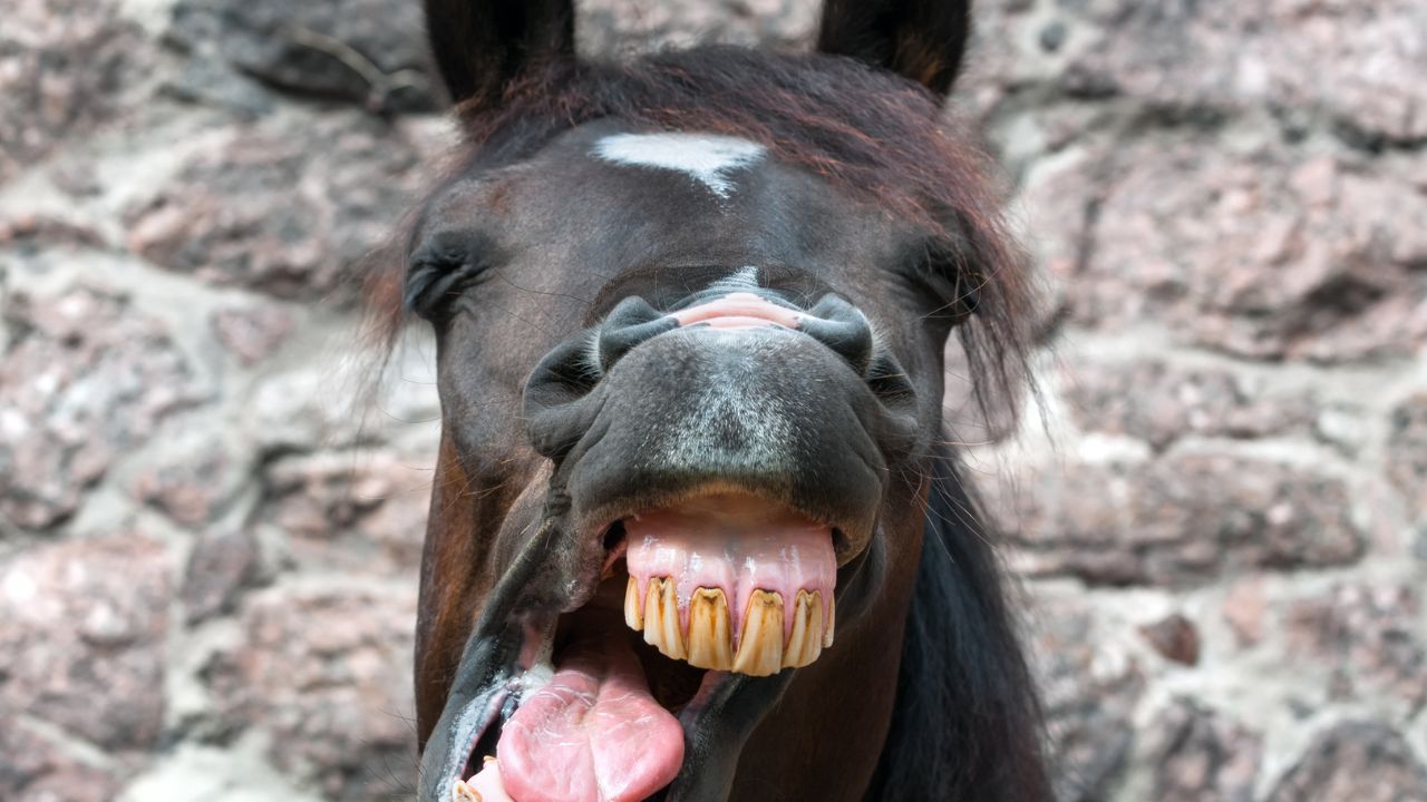 Eu trabalhando duro… pra descansar depois