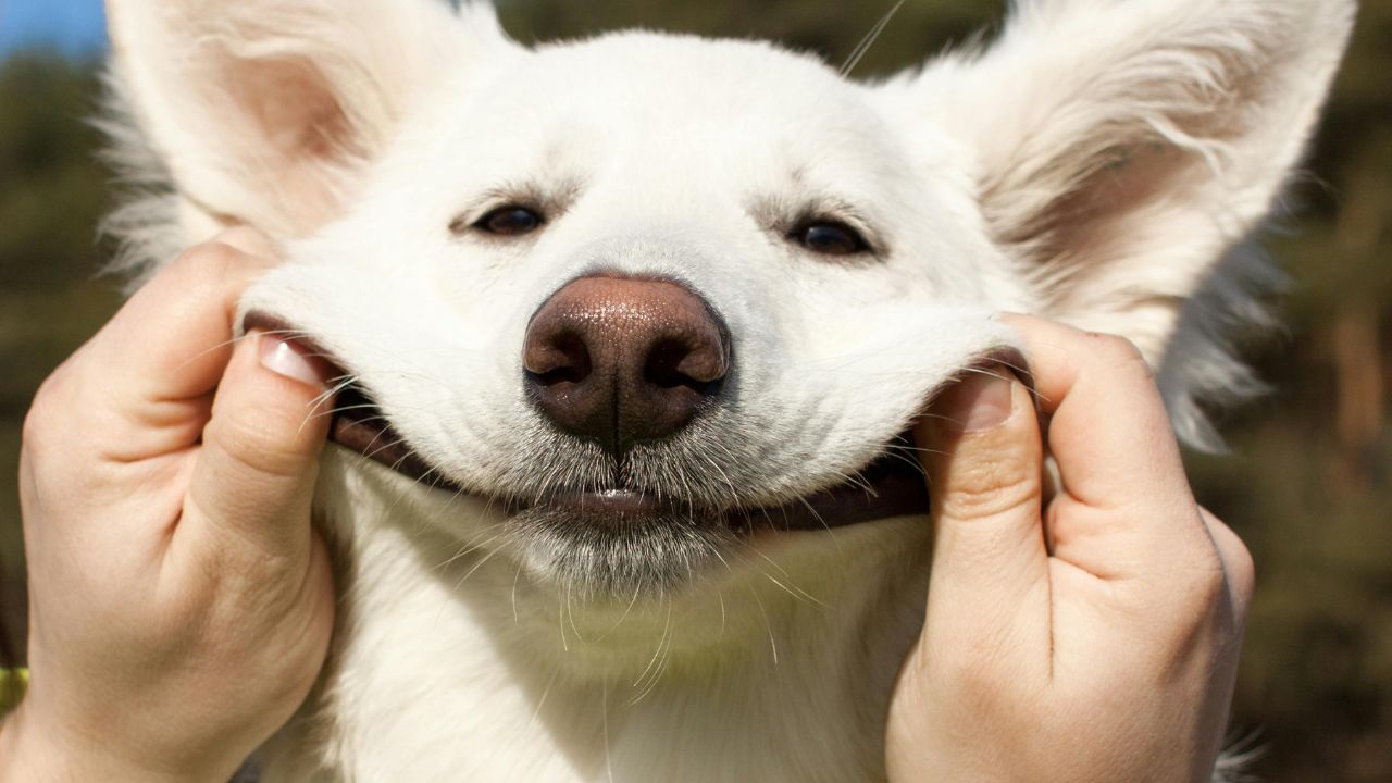Eu planejando o futuro… e esquecendo o presente