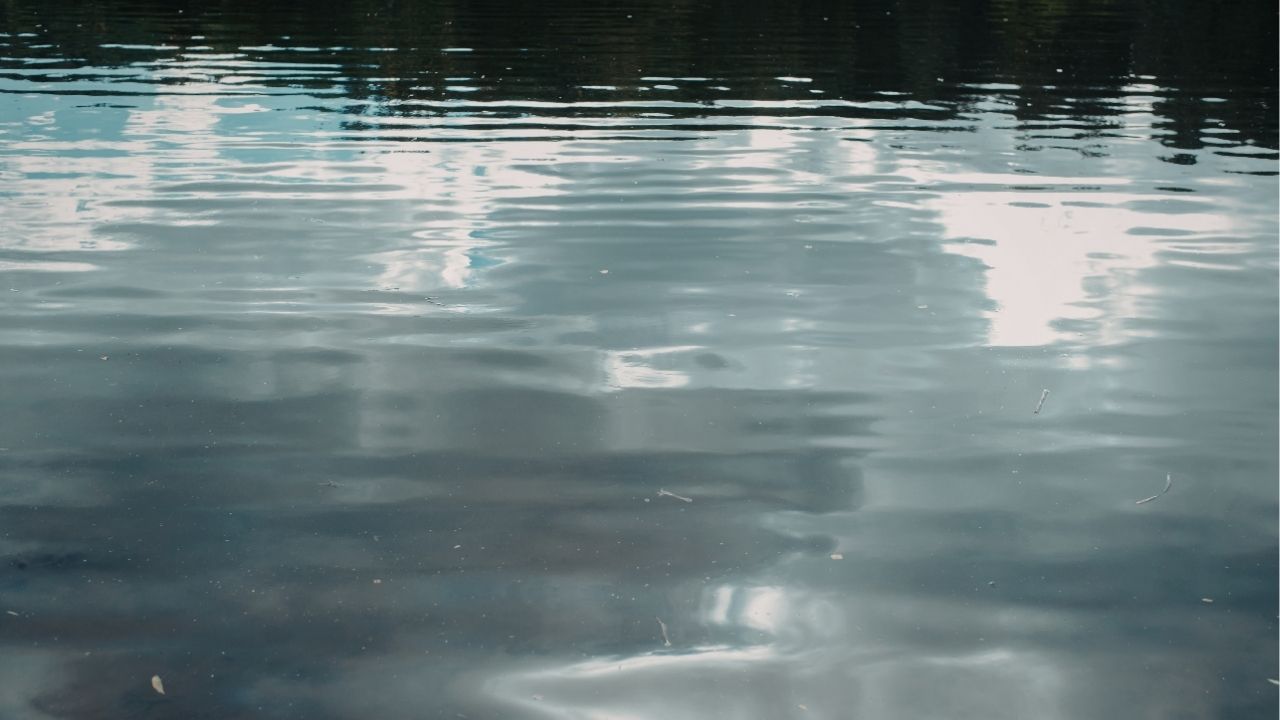 A vida testa quem você é antes de te entregar o que você quer