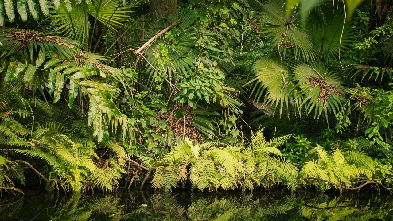 A vida ensina mais nos silêncios do que nas palavras