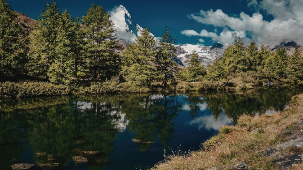 Nem todo atraso é perda, às vezes é proteção