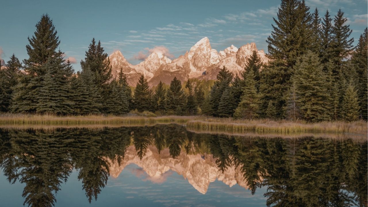 A paz começa quando você para de lutar contra o que não pode controlar