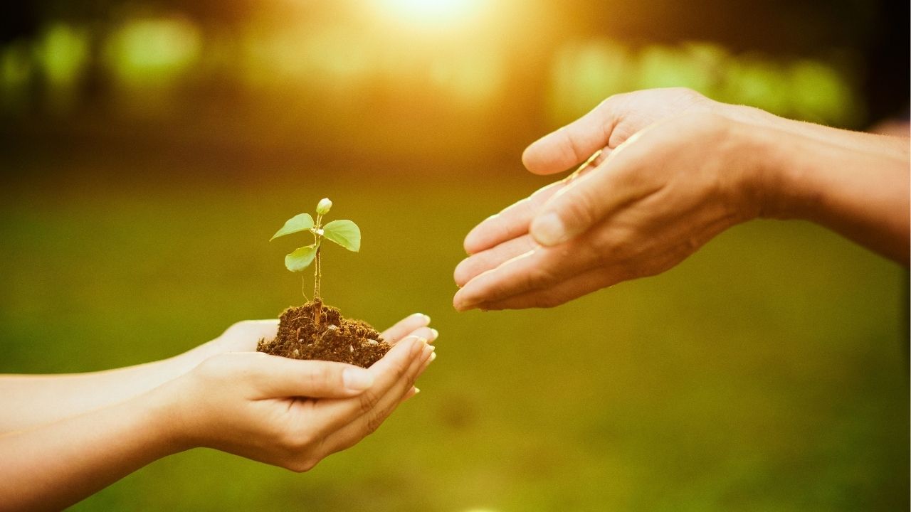 A vida mostra quem é quem quando tudo fica difícil