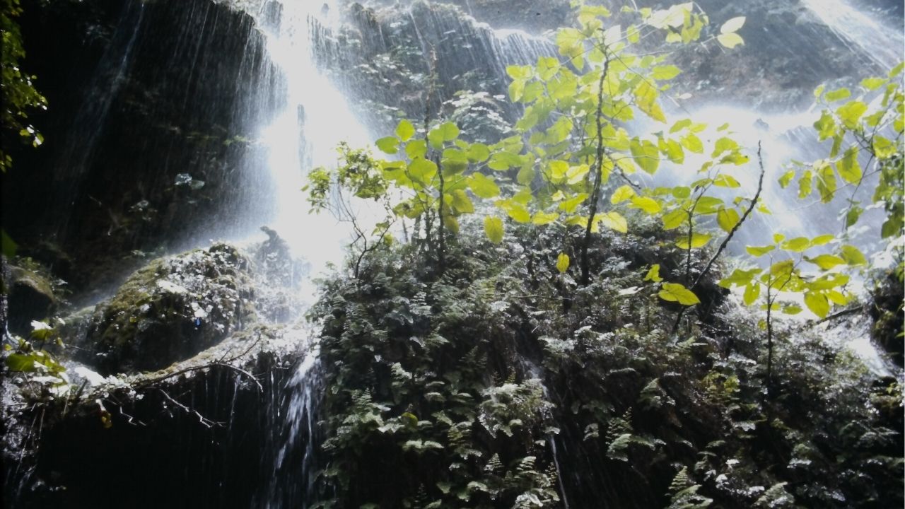 A vida se torna leve quando você deixa de resistir