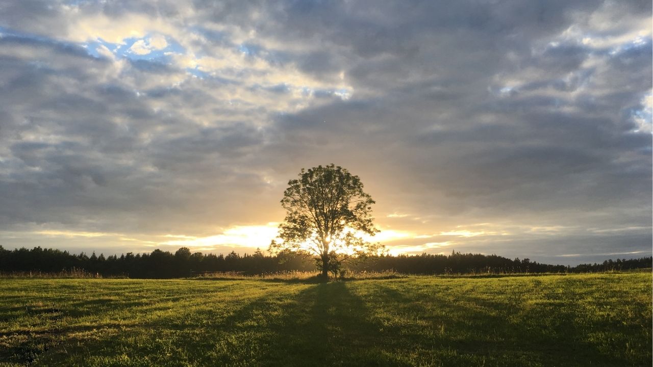 Você descobre a vida quando descobre a si mesmo