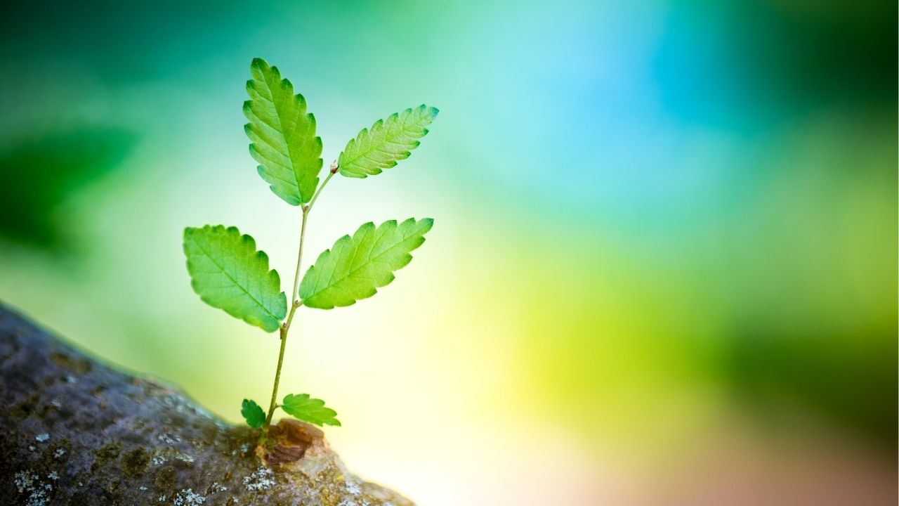 A vida é um ciclo constante de mudanças