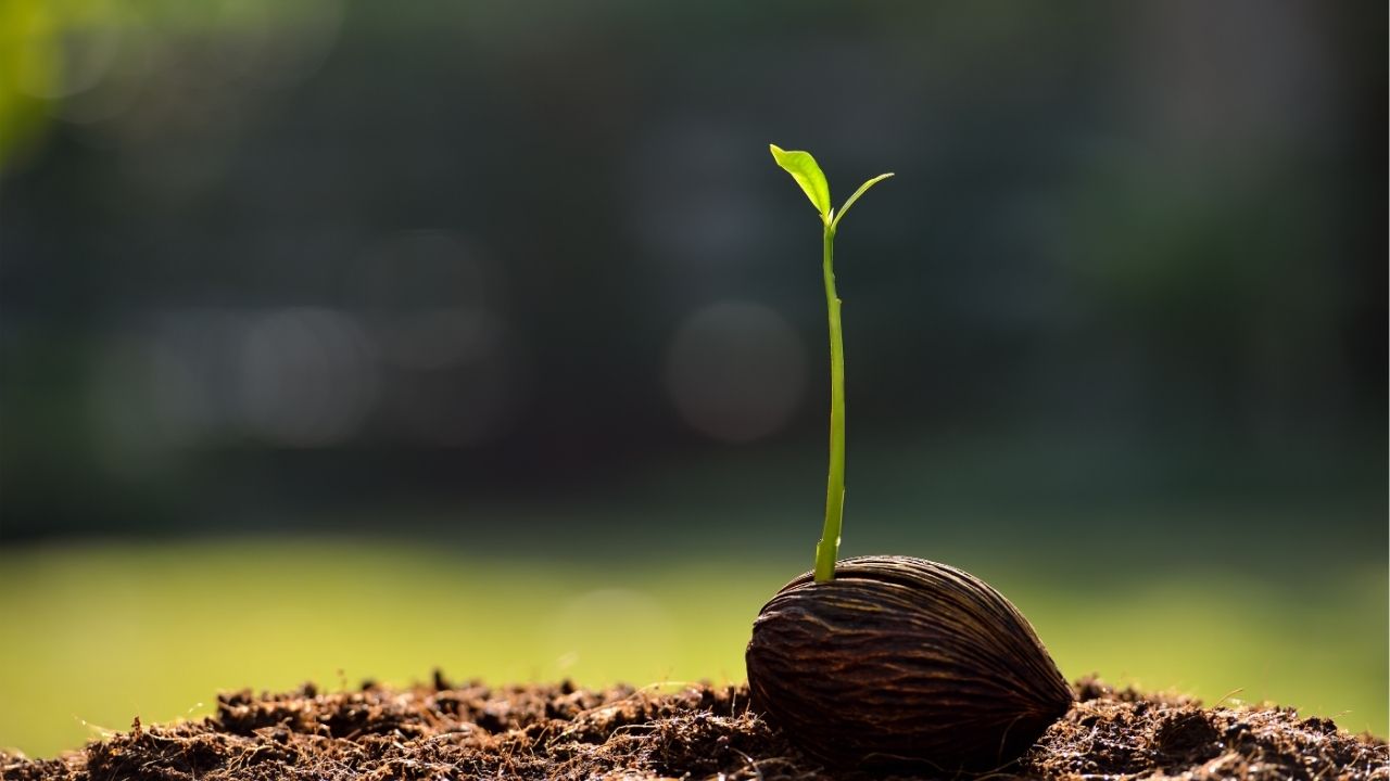 A dor da vida muitas vezes aponta para o crescimento