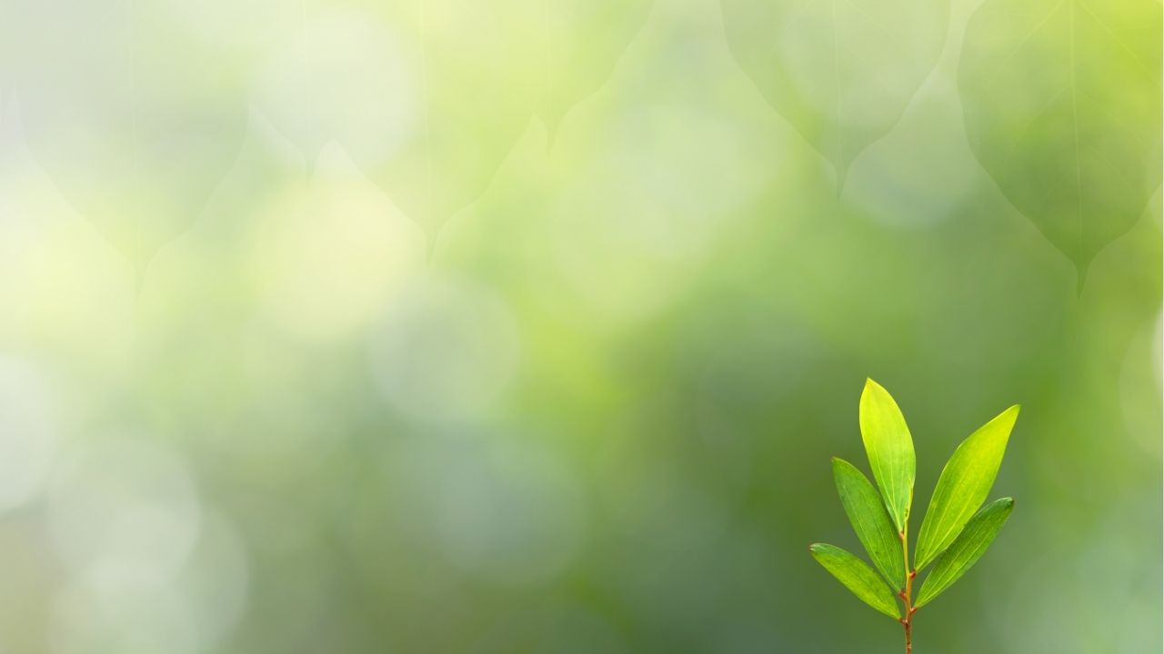 Você evolui quando aprende com os erros da vida