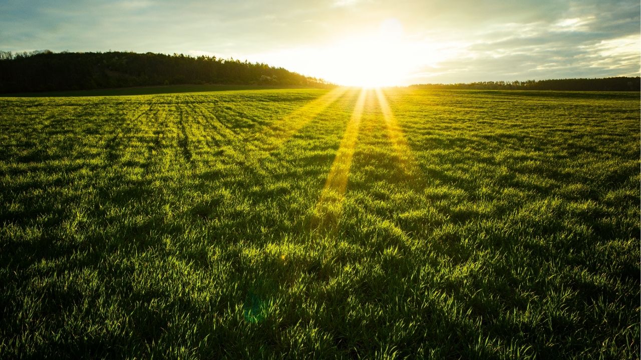 A vida mostra caminhos, mas quem decide andar é você