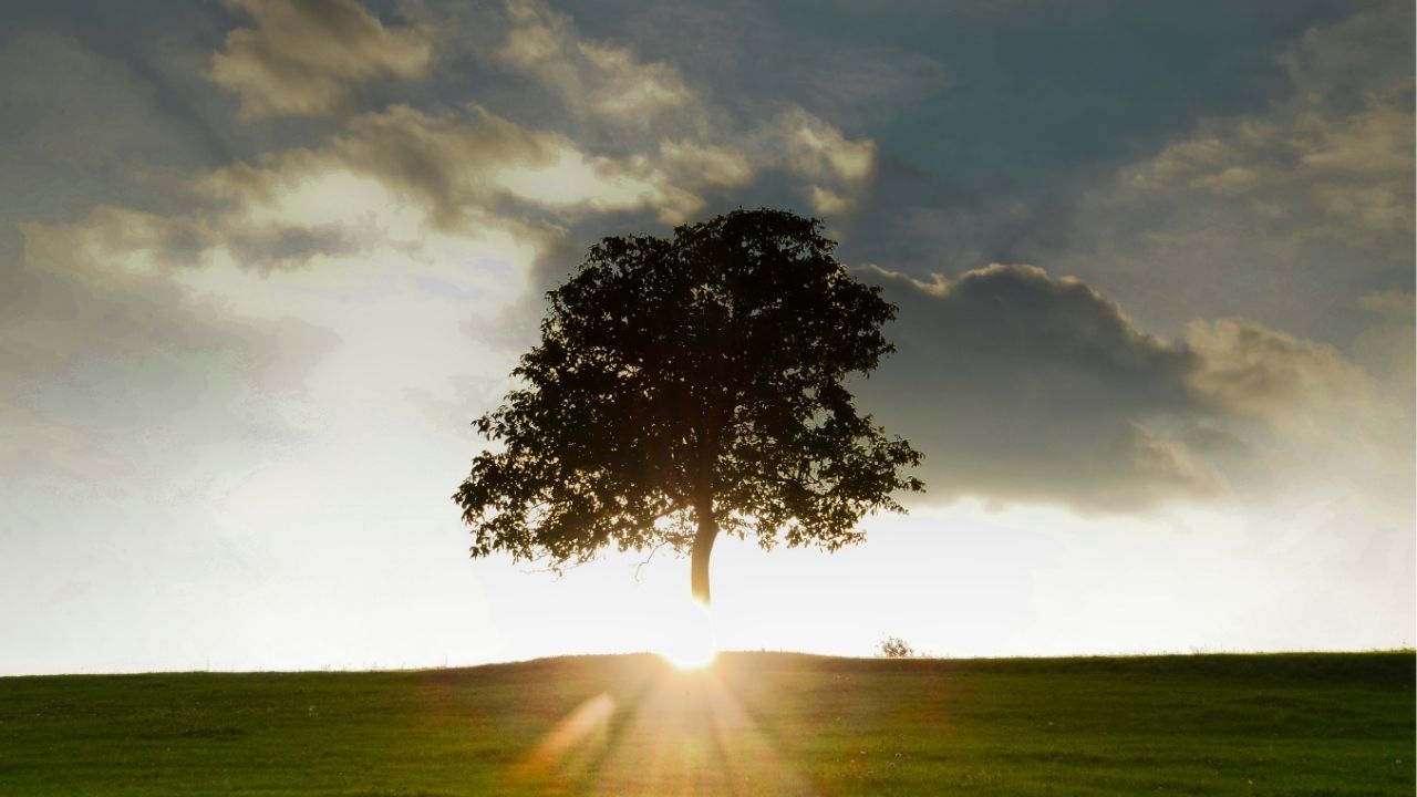 A vida não entrega respostas prontas, ela provoca perguntas