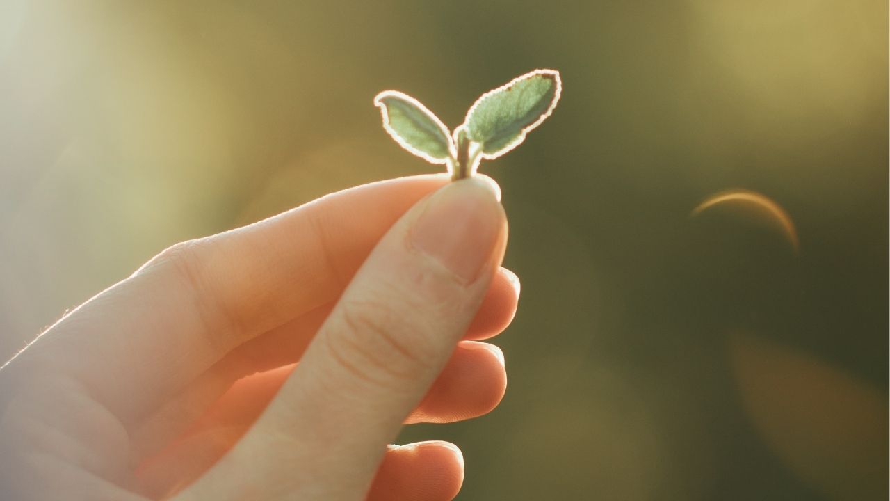 A vida não recompensa pressa, recompensa persistência