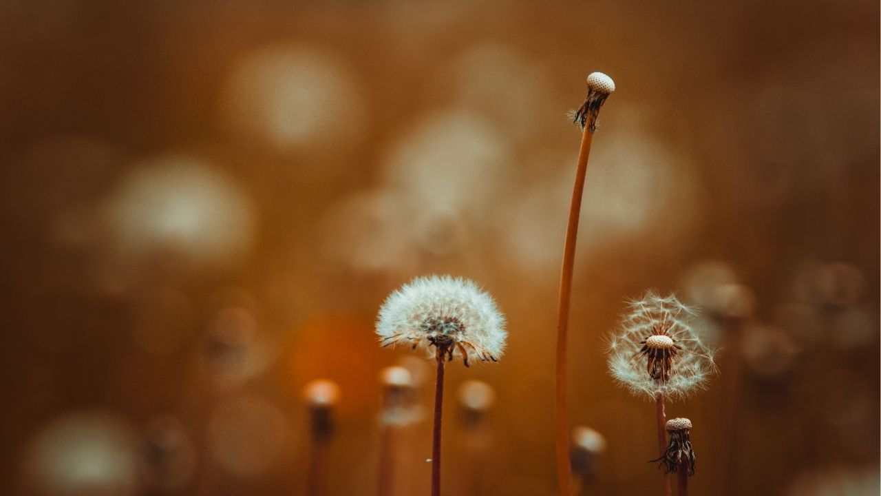 A vida revela seus maiores segredos no silêncio dos momentos difíceis