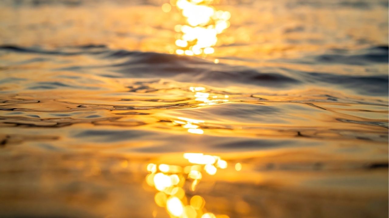 Quem aprende com a vida não repete os mesmos erros