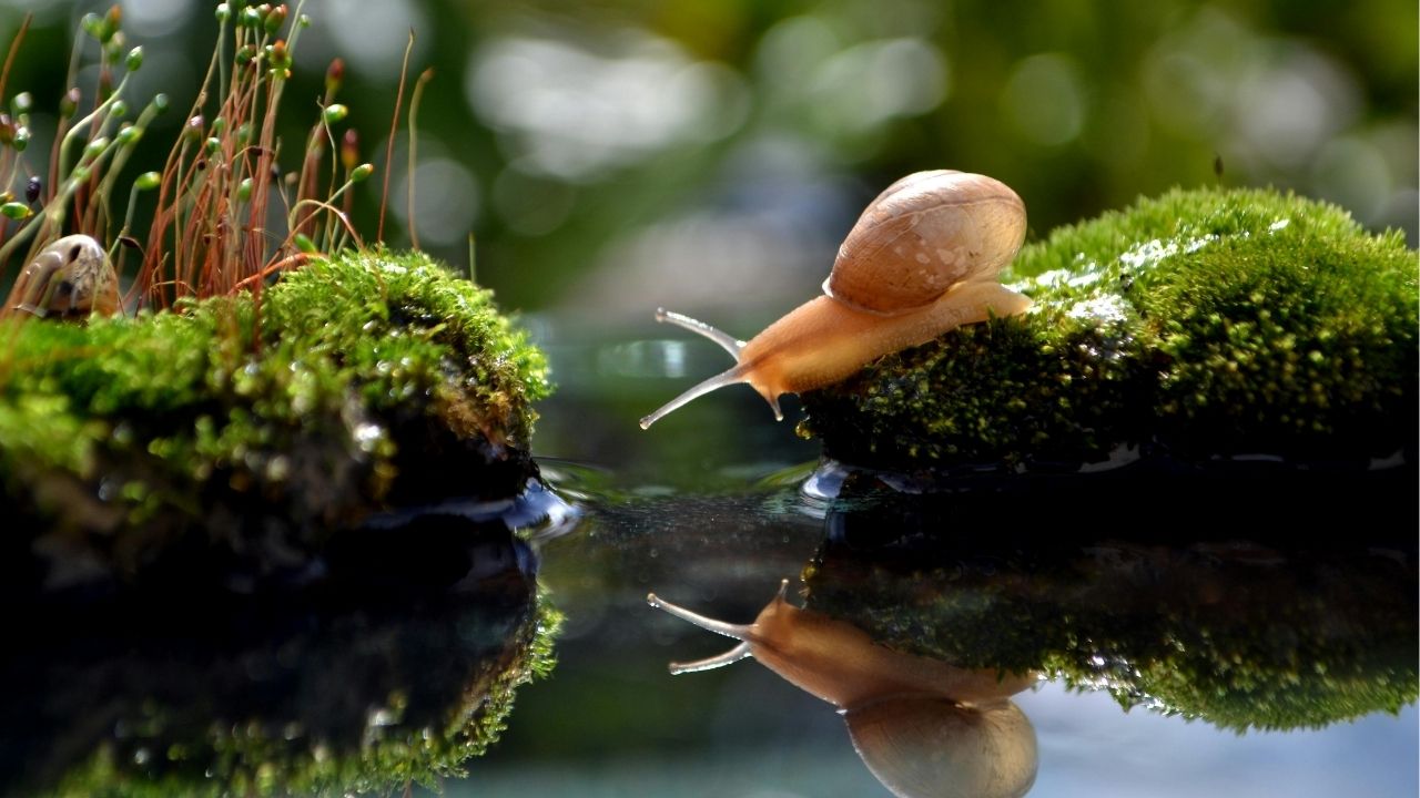 O que você vive hoje é reflexo das escolhas de ontem