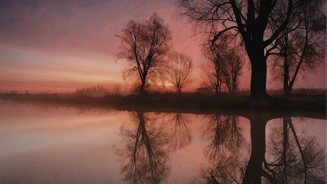 A vida ensina que nem tudo depende de esforço