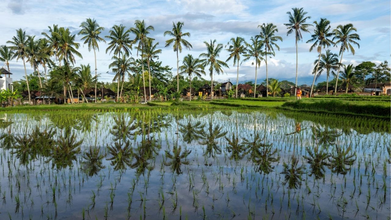 O silêncio da vida muitas vezes fala mais alto que o barulho do mundo