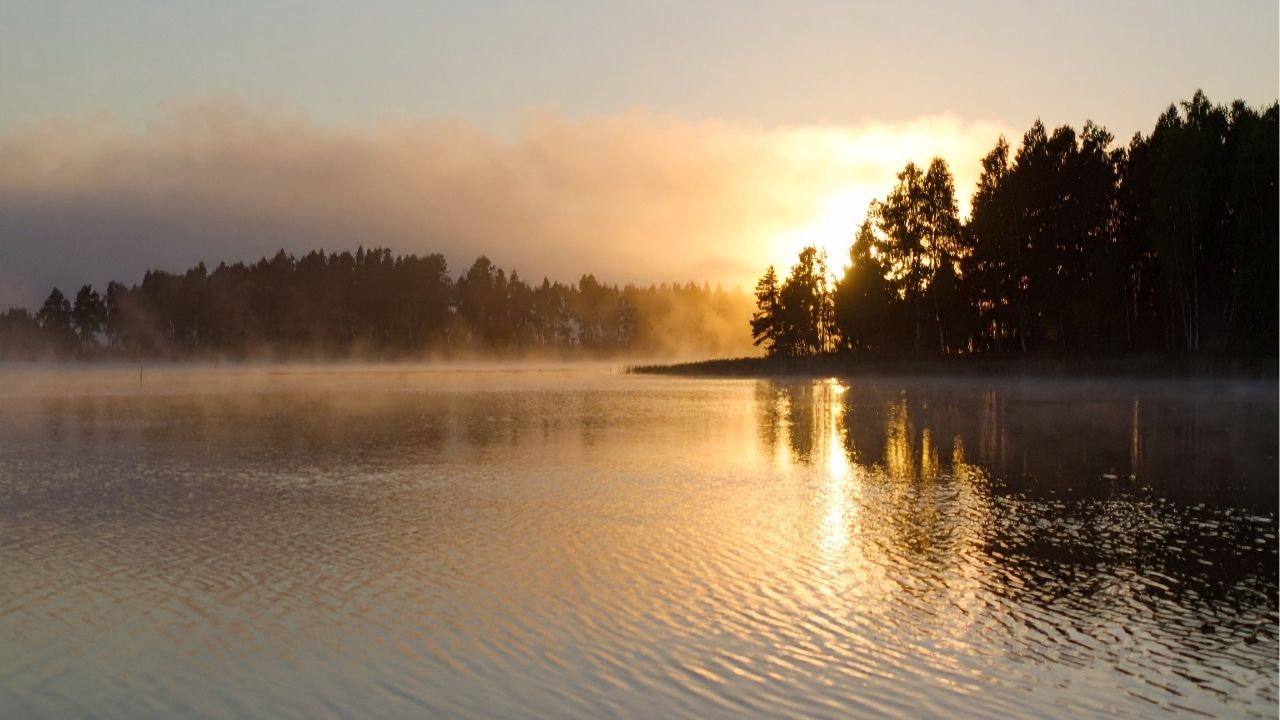 Quem aprende a ouvir a vida encontra paz