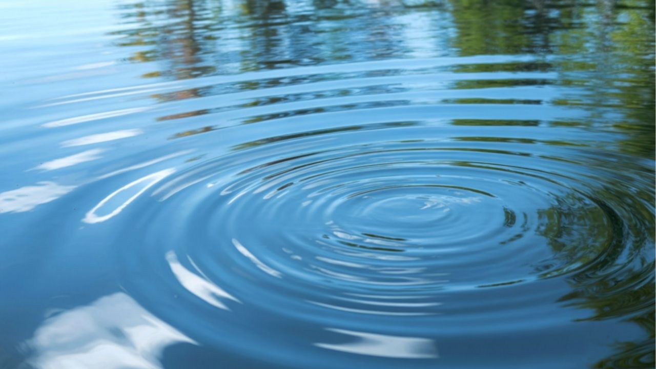 A vida exige coragem para seguir em frente