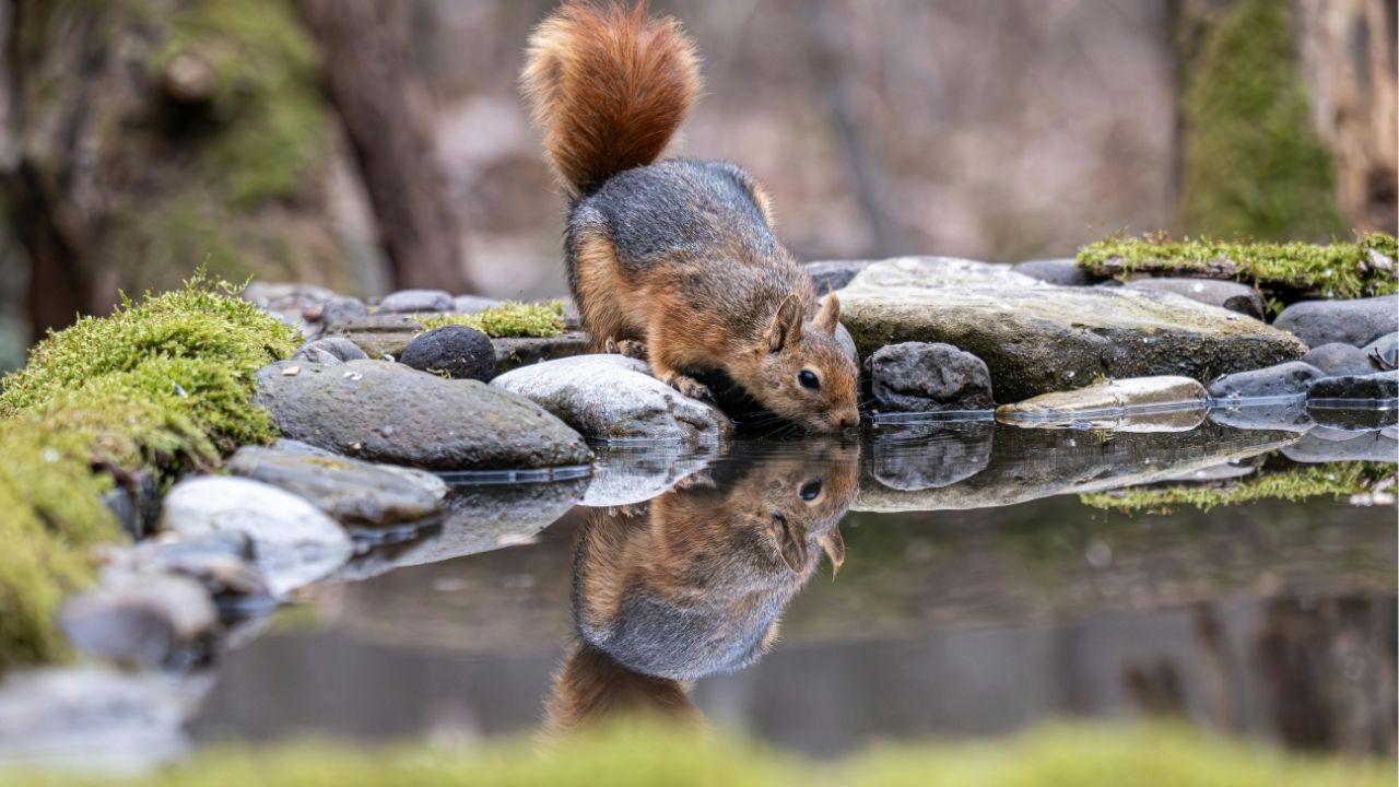 A vida é mais profunda do que aquilo que se vê