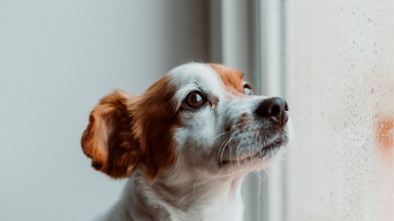 A vida testa sua fé antes de mostrar o caminho