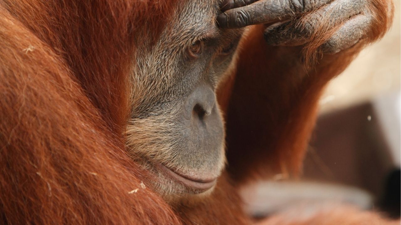 Você não controla a vida, mas pode escolher como reagir