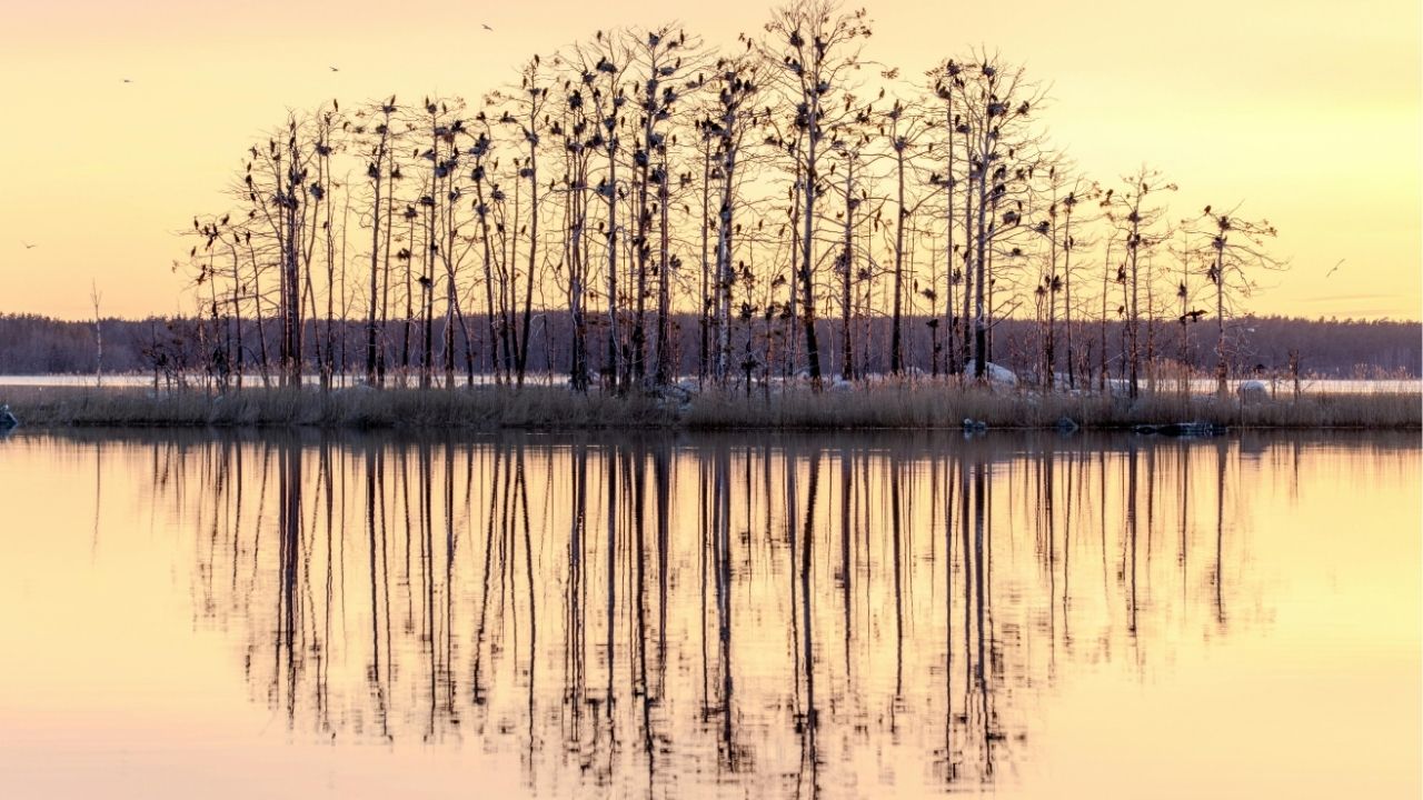 A vida é um constante convite para recomeçar