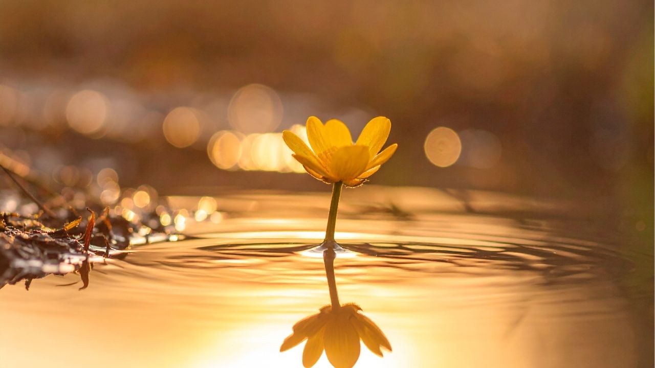 A vida não falha, ela ensina