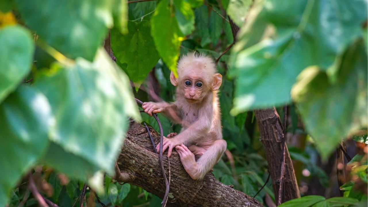 A vida ensina mais nas perdas do que nas conquistas