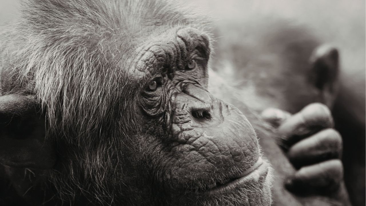 A vida muda quando você aprende a desapegar