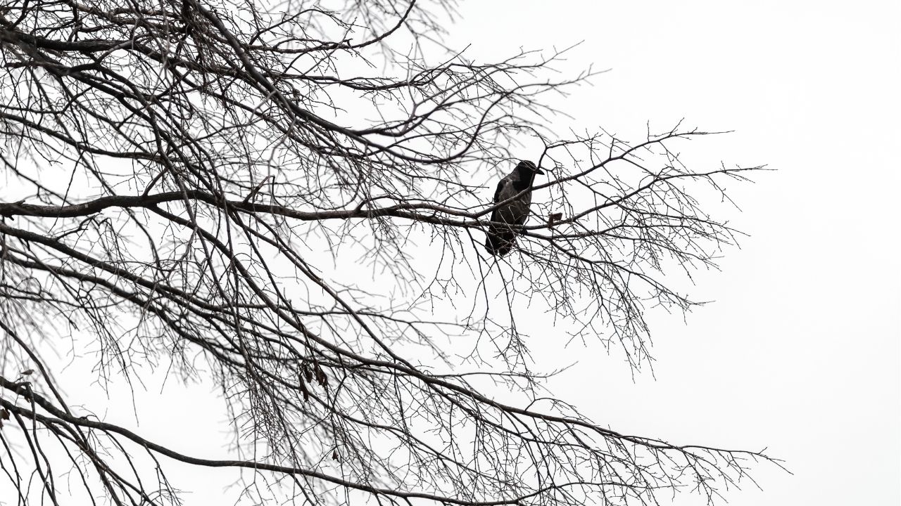 Nem toda dor é castigo, muitas vezes é direção