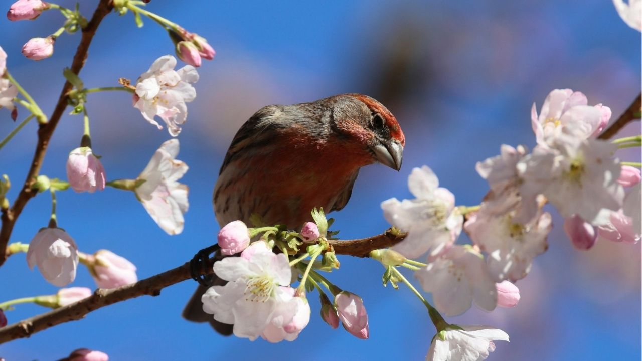 A vida exige coragem para deixar o passado ir