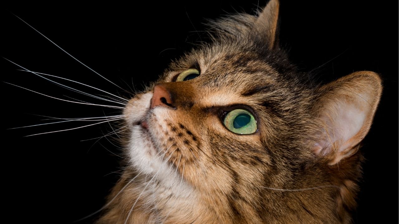 O tempo da vida é diferente do seu