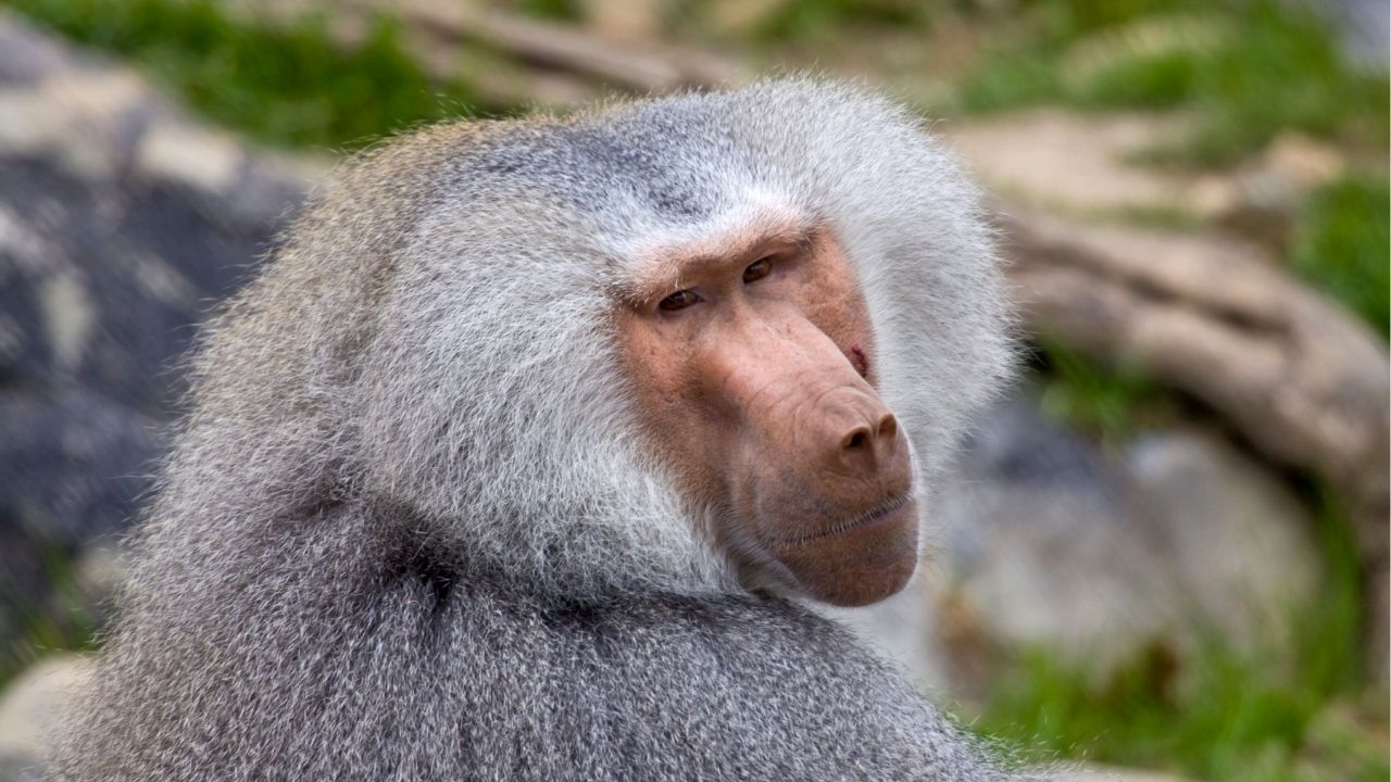 Existem respostas que só o tempo tem coragem de dar