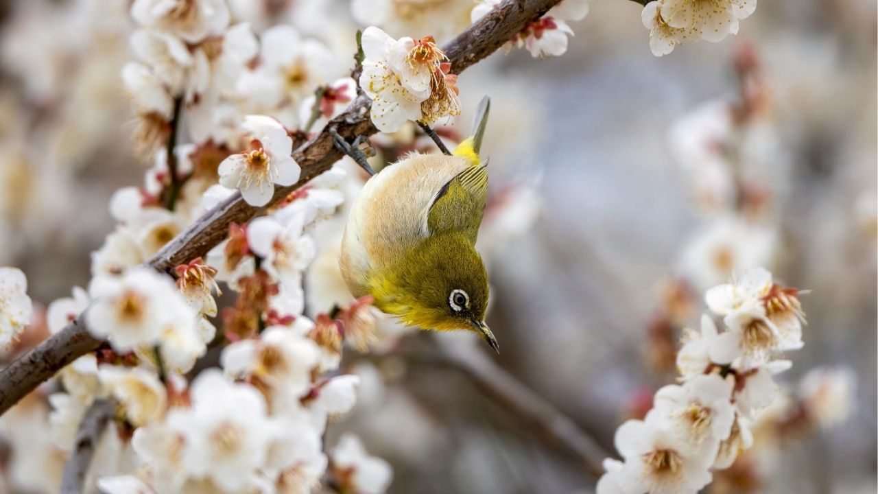 A vida é uma construção diária de quem você escolhe ser