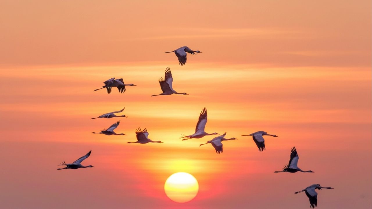 O valor da vida está nos detalhes que passam despercebidos