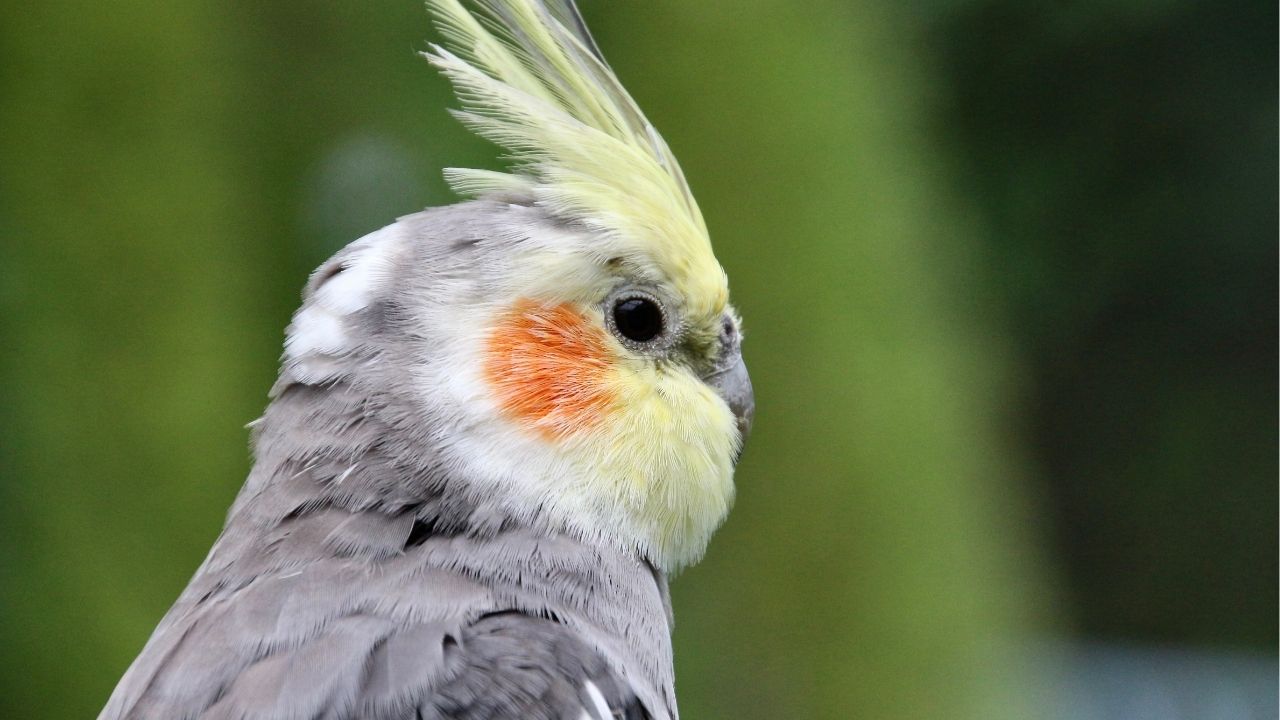 Você encontra paz na vida quando aceita o que é