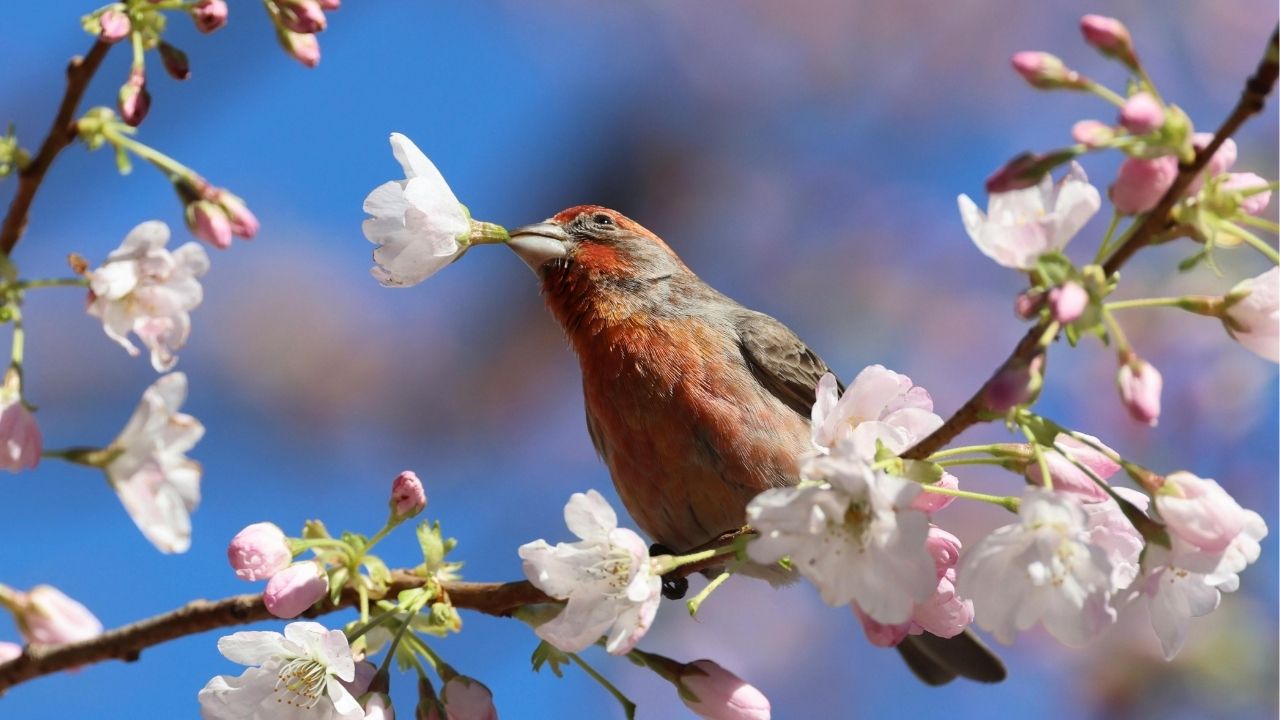 A vida não volta, por isso cada momento importa