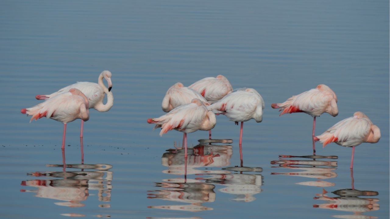 A vida não repete lições, ela aprofunda