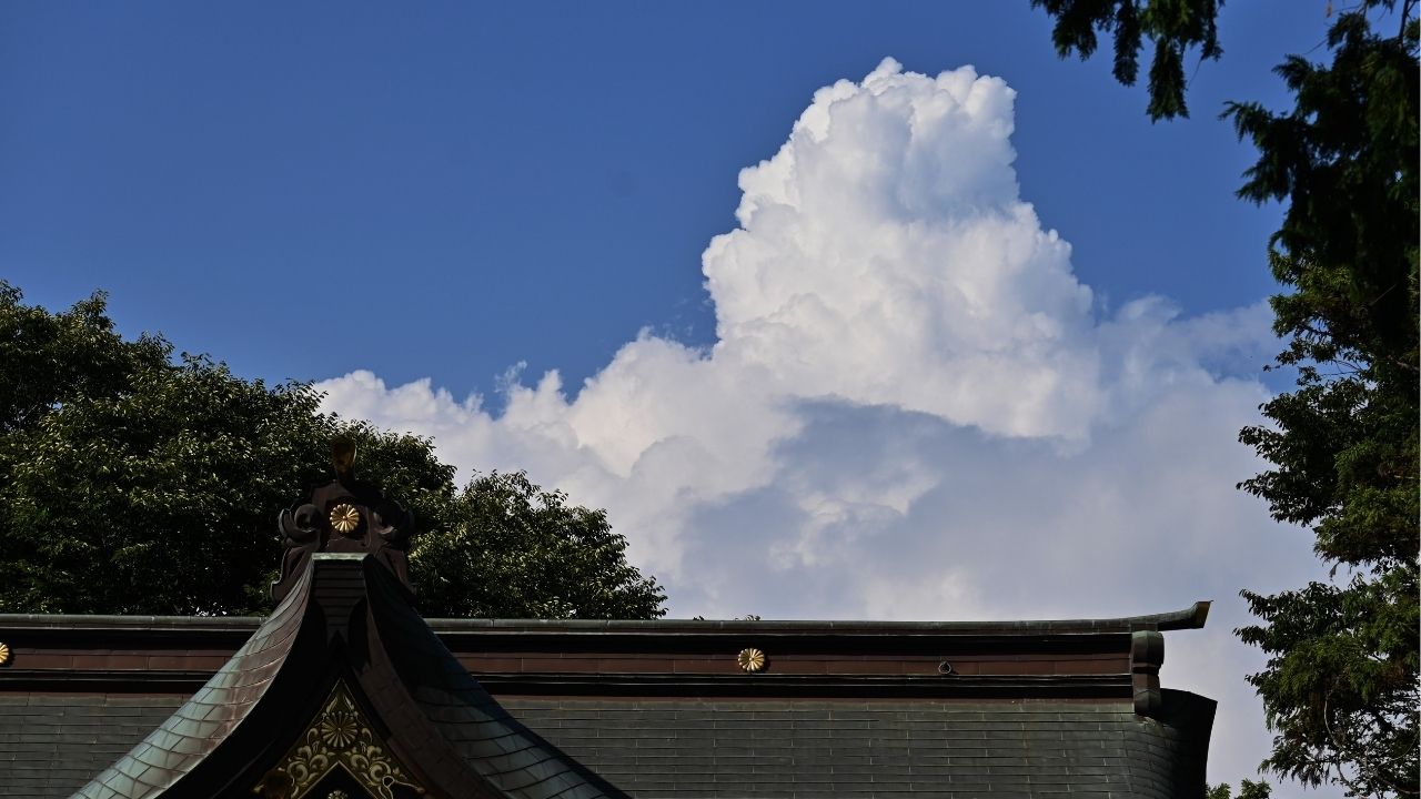 A vida não se explica, se vive