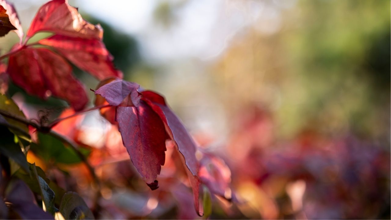 A vida é feita de escolhas invisíveis que moldam o futuro