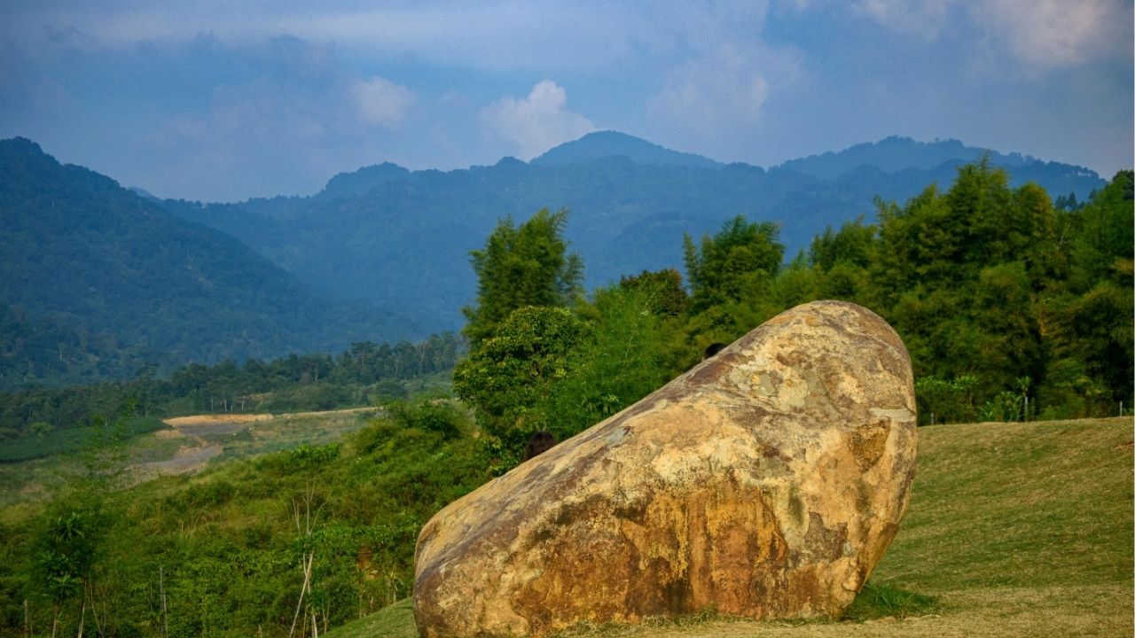 A vida ensina que tudo tem seu tempo certo
