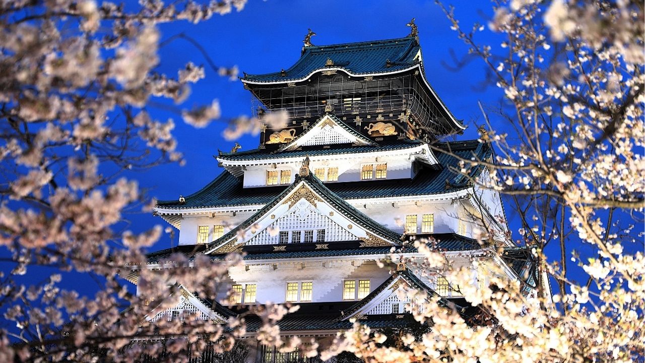 Você nasceu para brilhar