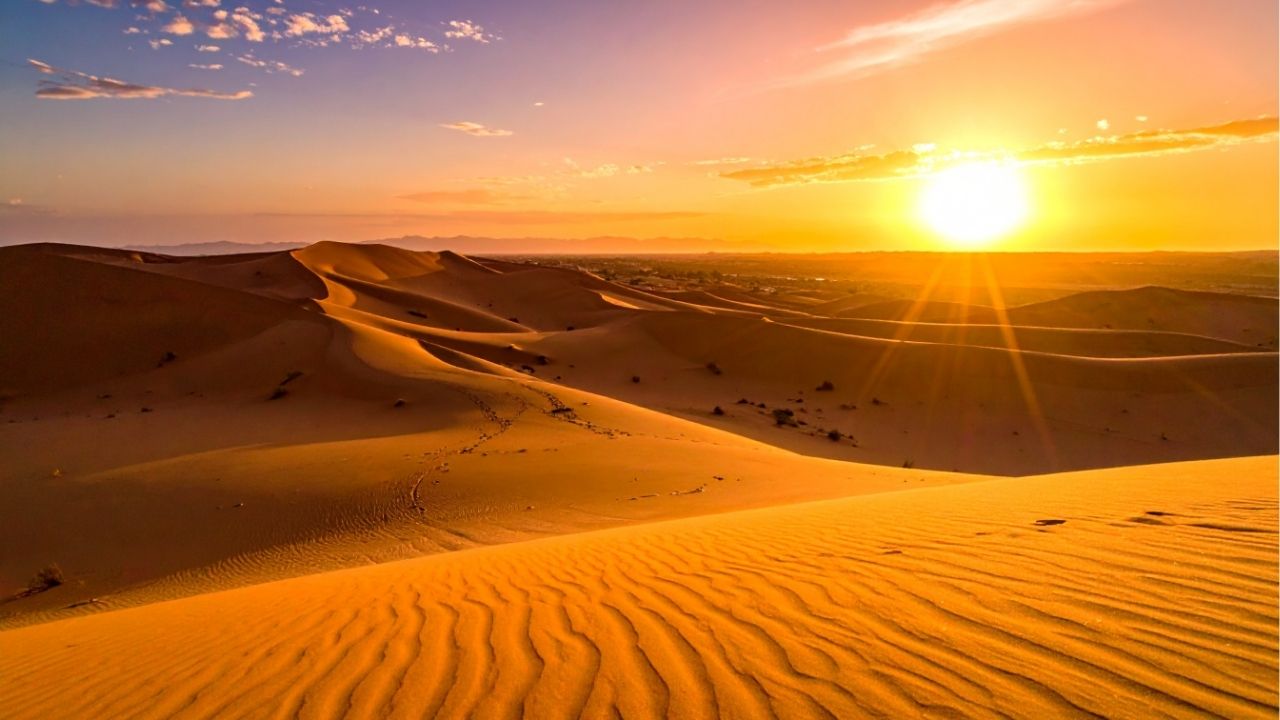 O amor descobre o amor não por perguntas mas por respostas - Paulo Coelho