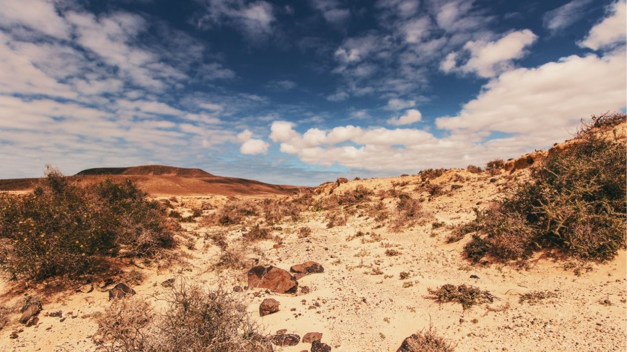 A coragem é o primeiro passo para transformar sonhos em realidade - Paulo Coelho